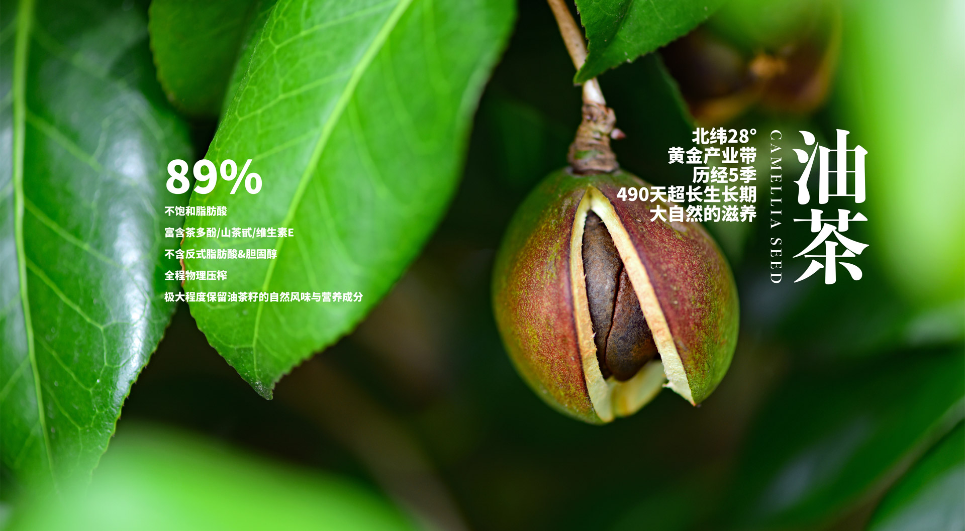 利多控股集团