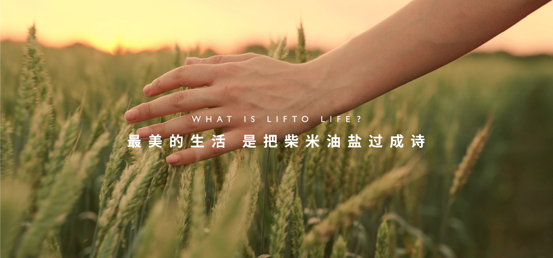 利多控股集团