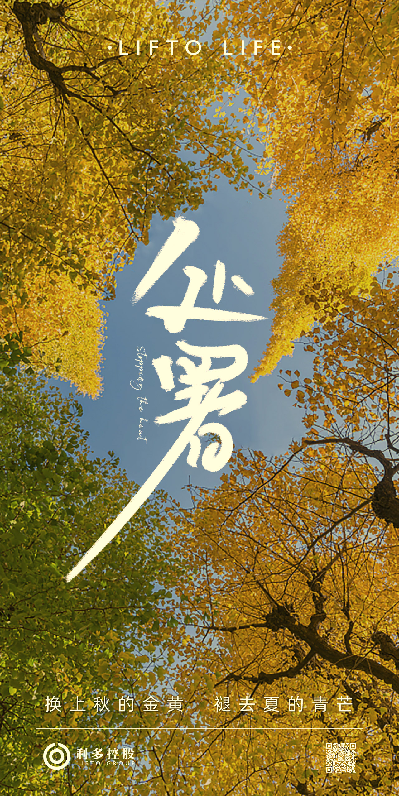 处暑2.jpg