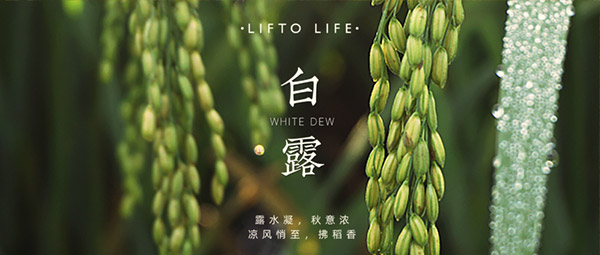 白露 | 渐知秋色美